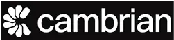 Cambrian